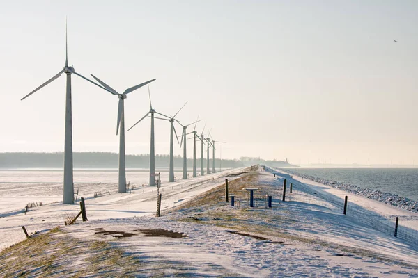 Голландский зимний пейзаж со снегом, ветряными турбинами и горизонтом Урк — стоковое фото