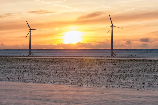 Sunzet sur un paysage hivernal hollandais enneigé avec éoliennes — Photo