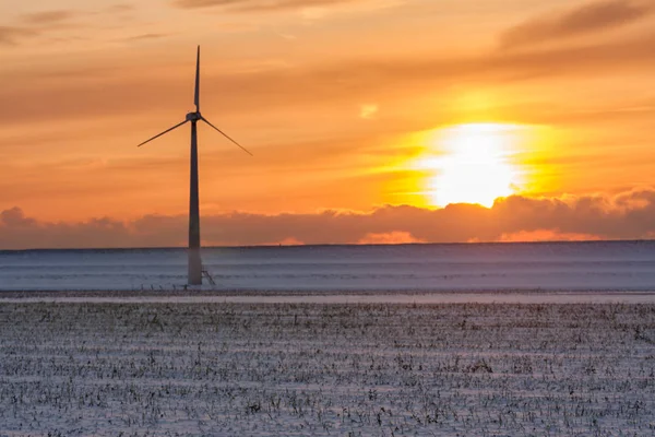 Sunzet over snowy Dutch winter landscape with wind turbines — Stock Photo, Image