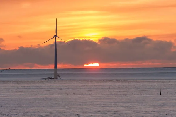 Sunzet over besneeuwde Nederlandse winterlandschap met windturbines — Stockfoto