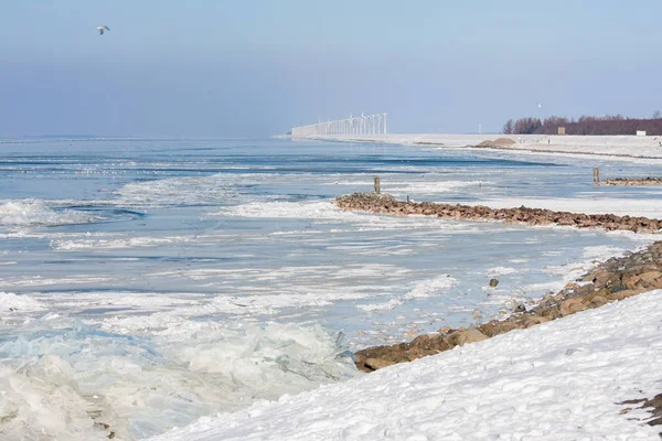 Paisagem de inverno holandesa com mar congelado e gelo à deriva . — Fotografia de Stock