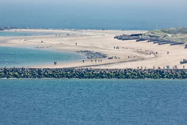 Luftaufnahme deutsche Inseldüne mit Robben am Strand — Stockfoto