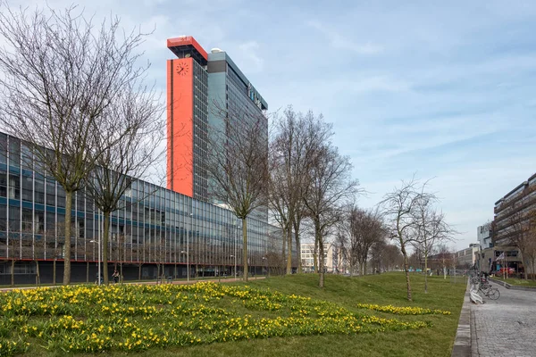Campus Technical University Delft with buildings and field of narcissus — Stock Photo, Image