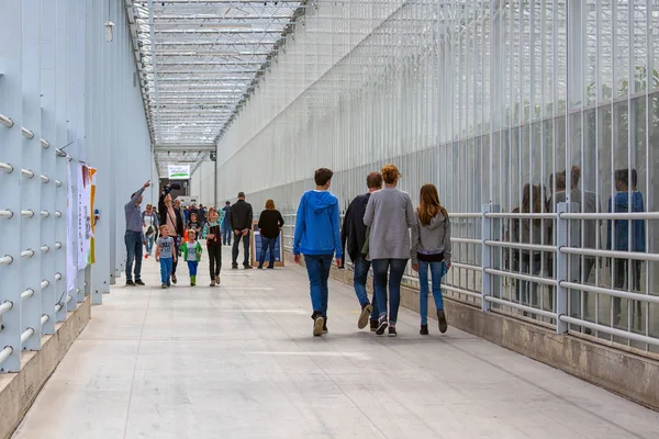 People walking in long corridor of Dutch greenhouse — Stock Photo, Image