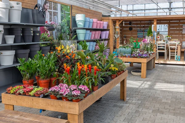 Loja de jardim vendendo plantas e acessórios como vasos de flores — Fotografia de Stock