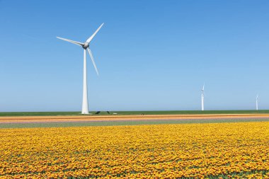 Dutch farmland with yellow tulip field and big windturbine clipart