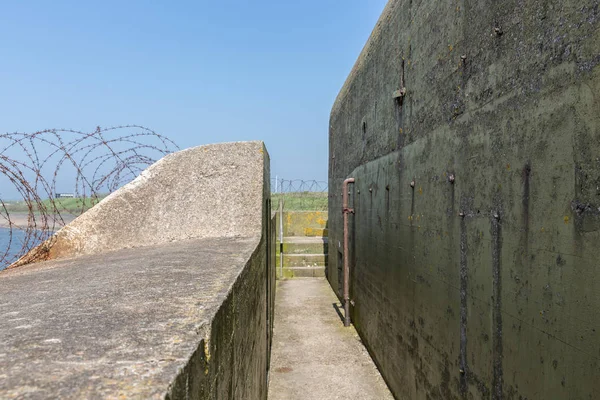 WW2 rifugio di cemento con filo spinato vicino a Kornwerderzand a Afsluitdijk olandese — Foto Stock