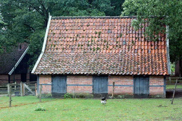 古い納屋のあるオランダの田舎の野外博物館 — ストック写真