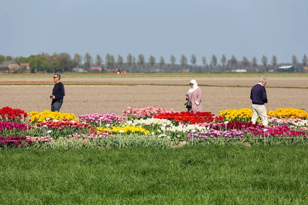 Mensen die een tuin bezoeken met kleurrijke tulpen — Stockfoto