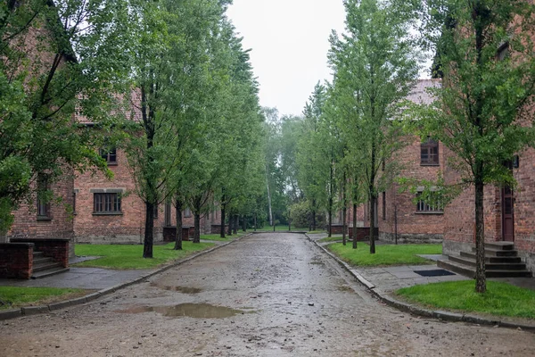 Budovy koncentračního tábora Osvětim v deštivém dni — Stock fotografie