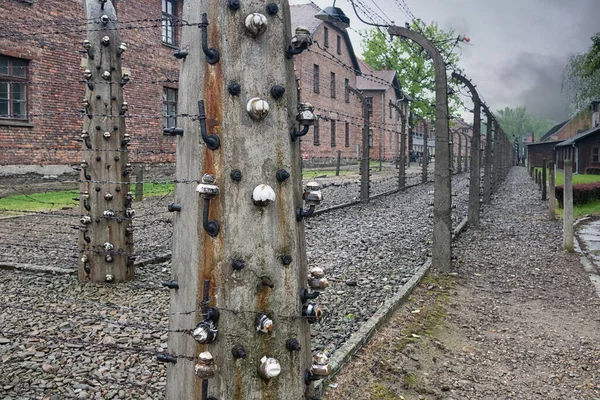 Edifici del campo di concentramento Auschwitz circondato bij filo spinato — Foto Stock