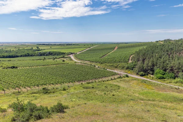 Ländliche Landschaft Ungarn bei Eger mit Feldern, Wäldern und Weinbergen — Stockfoto