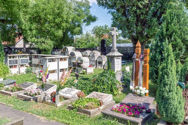 Kolumbie s květinami na maďarském hřbitově — Stock fotografie