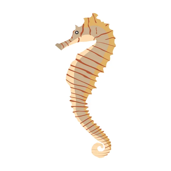 Illustration vectorielle d'un hippocampe coloré — Image vectorielle