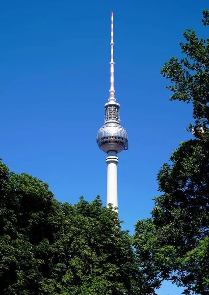 Берлін Fernsehturm перед Синє небо позаду дерева — стокове фото