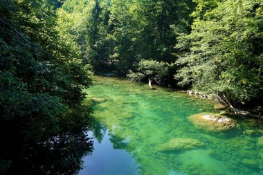Sakin ve turkuaz Radovna River Podhom yakınında
