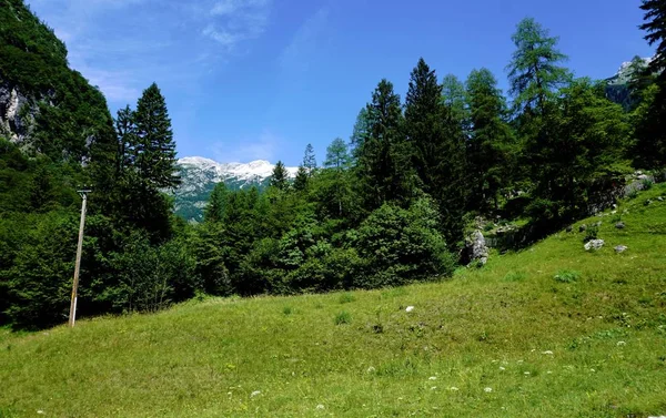 Blick aus dem botanischen Garten alpina julianum — Stockfoto