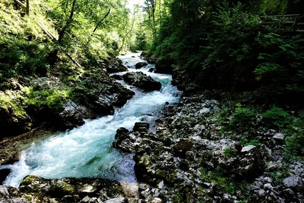 Río radovna salvaje y rocas en el desfiladero de Vintgar — Foto de Stock