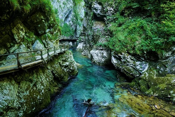 Vintgar 협곡에서 다채로운 Radovna 강 경치 — 스톡 사진