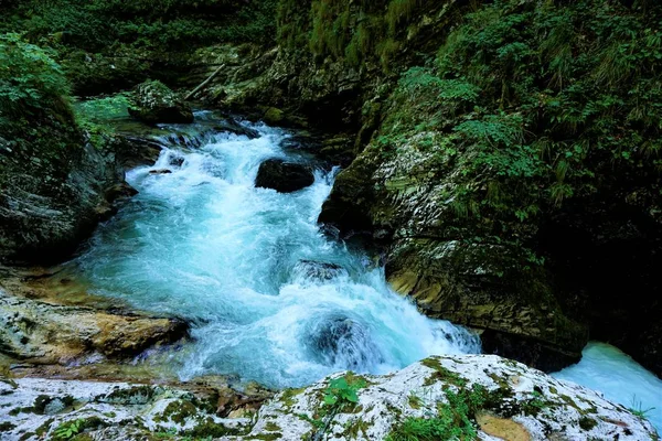 A Vintgar Gorge-i Radovna folyó türkiz zuhatag — Stock Fotó
