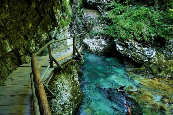Vintgar Gorge faösvény és gyönyörű Radovna folyó közelében Podhom — Stock Fotó