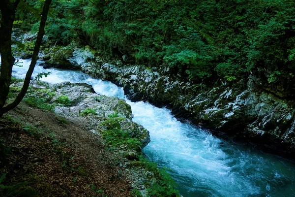 Río Radovna en el desfiladero de Vintgar, Podhom cerca de Bled — Foto de Stock