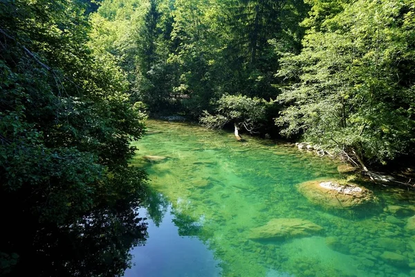 Lugna och turkosa Radovna River nära Podhom — Stockfoto