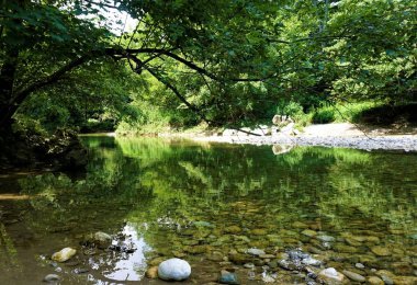 Kranj kentinde Sava Nehri