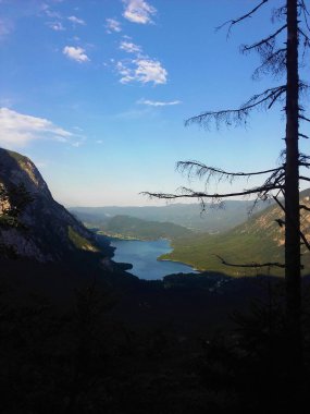 Vogel Dağı ve karaçam ağacıyla Bohinj Gölü 'Nün manzarası