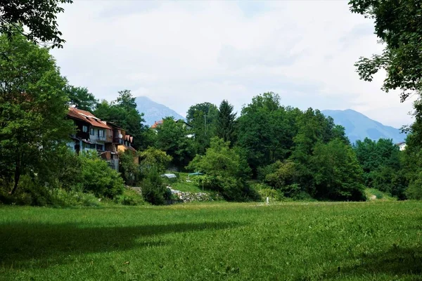 Kranj şehir merkezine yakın pastoral çayır — Stok fotoğraf