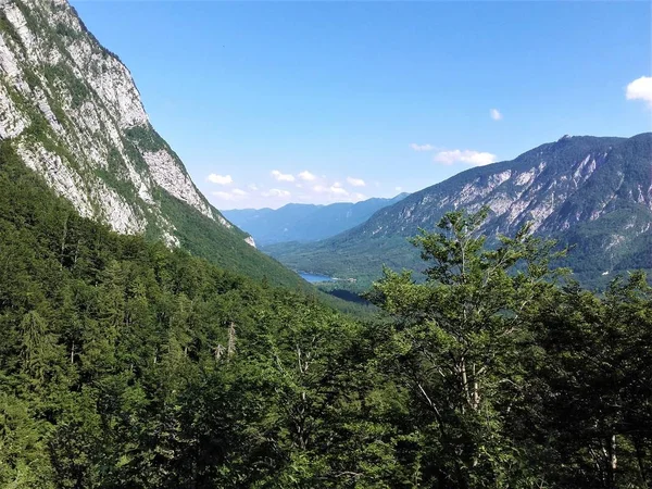 Göl Bohinj dağ panorama