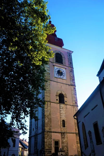 Torre da cidade de Ptuj atrás da árvore — Fotografia de Stock