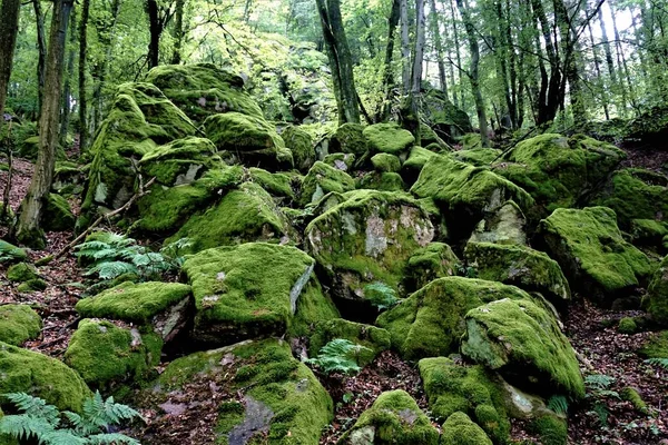 Caos rocosos en el bosque de Oberflockenbach — Foto de Stock