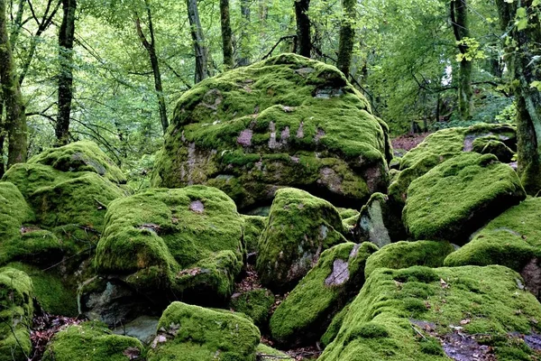Yakın çekim güzel rock kaos içinde Weinheim Oberflockenbach, Almanya