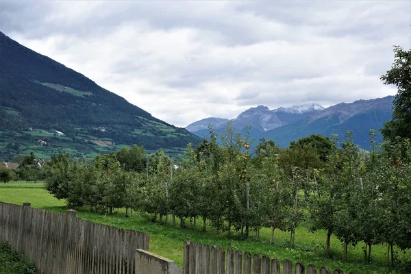 Pohled do pohoří s jabloní poblíž Glorenza — Stock fotografie