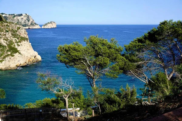 Ağaçlar ve Cala Granadella taşlara