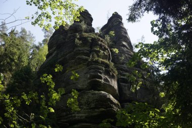 Bohemian İsviçre 'de Kamnitz nehrinin yakınında güzel bir kaya oluşumu.