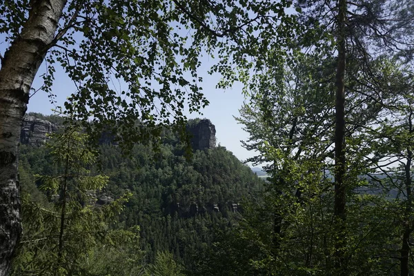 瑞士波希米亚Elbe砂岩山脉的典型景观 — 图库照片