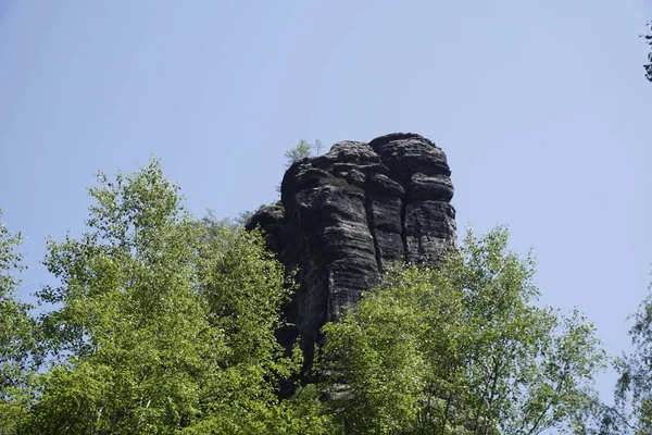 Top van een typische rots in het Elbe Sandstone gebergte, Boheems Zwitserland — Stockfoto