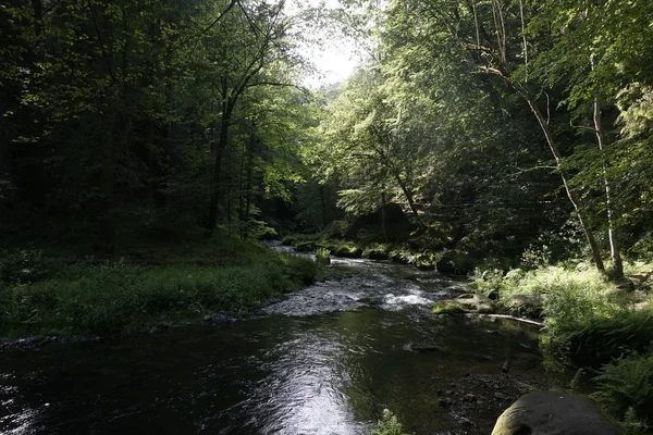 Hermosa parte del río Kamnitz en la Suiza bohemia — Foto de Stock