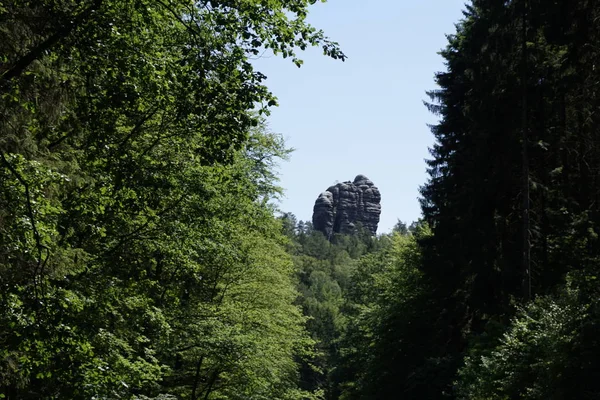 Roccia di Elbesandstone avvistata dall'Amselgrund nella Svizzera sassone — Foto Stock