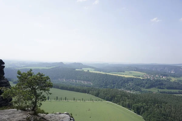Lilienstein从岩石上的一棵树上俯瞰撒克逊瑞士 — 图库照片