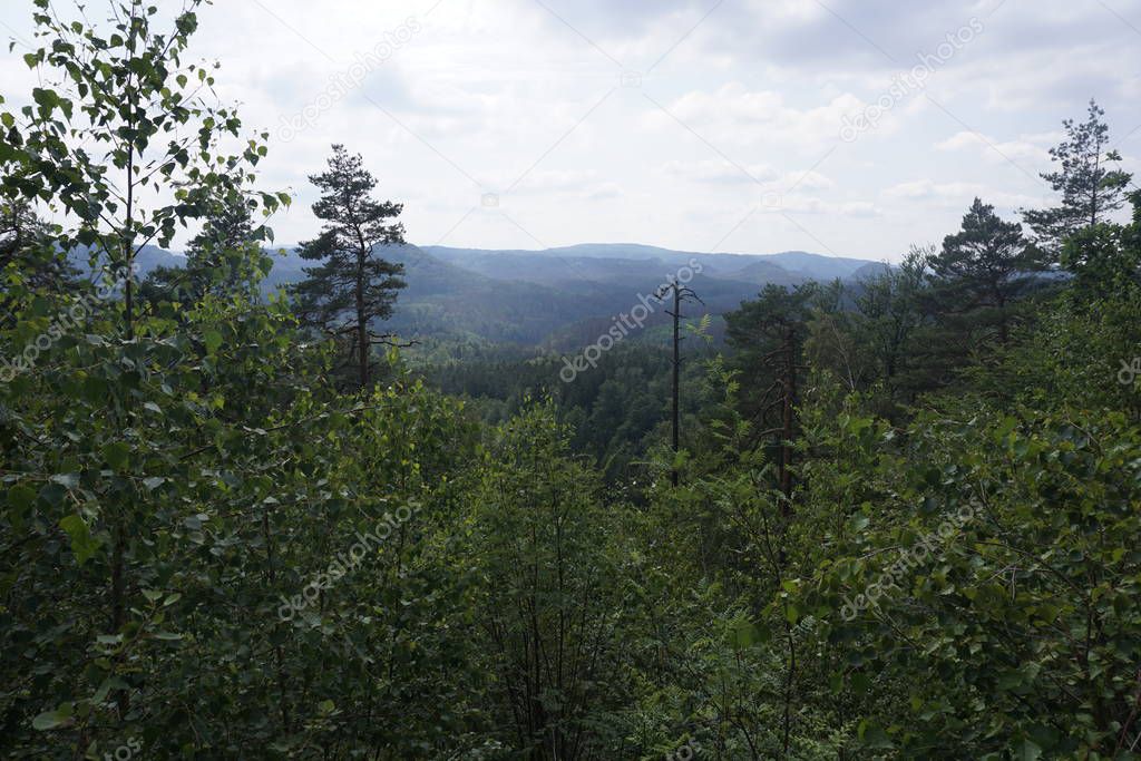 View over tree tops to the hills of Bohemian Switzerland