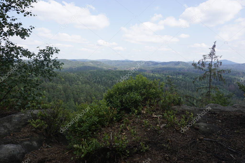 View over trees and hill tops from Saxon Switzerland to Bohemian Switzerland