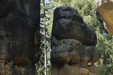 Sakson İsviçre 'deki Schrammsteine dağları yakınlarındaki ormandaki kum taşı kayaları.