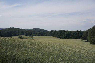 Kanzel Tepesi ile Sakson İsviçre 'nin güzel manzarası