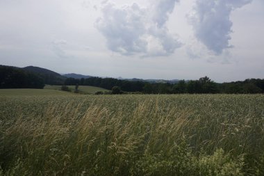 Vogelberg Dağı 'ndan Sakson İsviçre' nin tepelerine ve dağlarına bakın.