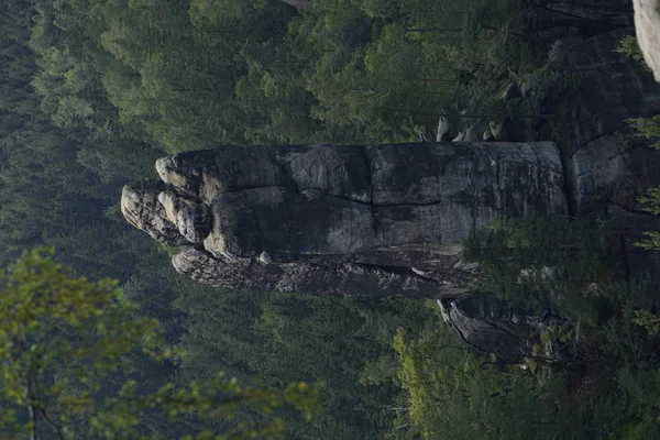 Rohnspitze rock aus carolafelsen vor grünem wald, sächsische schweiz — Stockfoto