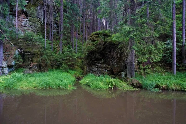 Río Kirnitzsch Como Frontera Entre República Checa Alemania — Foto de Stock