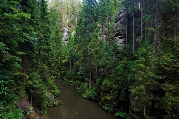 Río Kirnitzsch Fluye Través Del Bosque Con Rocas Arenisca — Foto de Stock